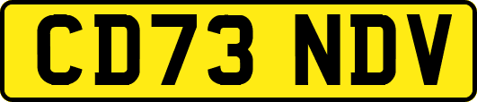 CD73NDV