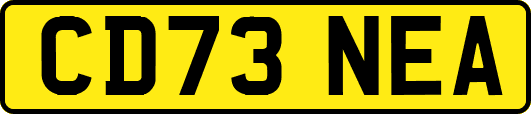 CD73NEA