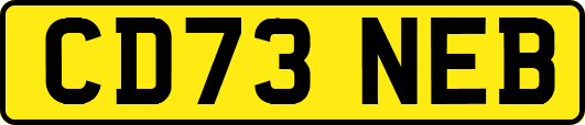 CD73NEB