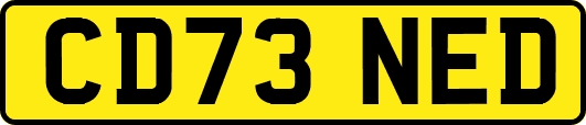 CD73NED