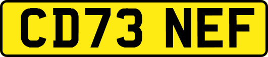 CD73NEF
