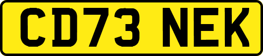CD73NEK