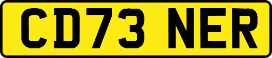 CD73NER