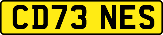 CD73NES