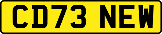 CD73NEW
