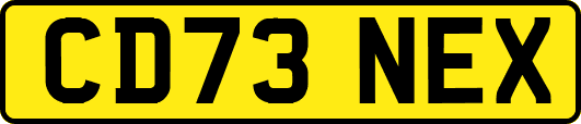 CD73NEX