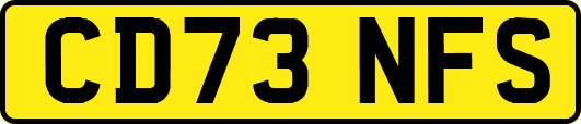 CD73NFS