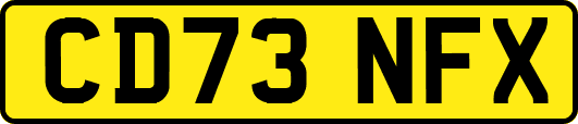 CD73NFX