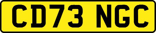 CD73NGC