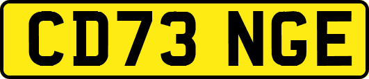 CD73NGE
