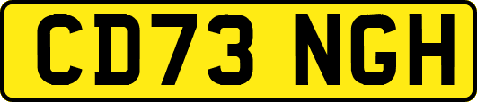 CD73NGH