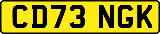 CD73NGK