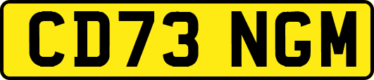 CD73NGM