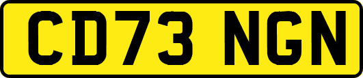 CD73NGN