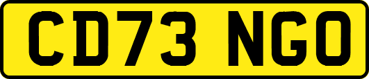 CD73NGO