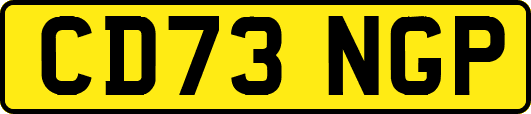 CD73NGP
