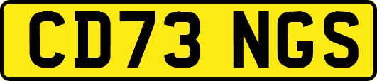CD73NGS