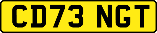 CD73NGT