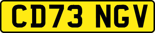 CD73NGV