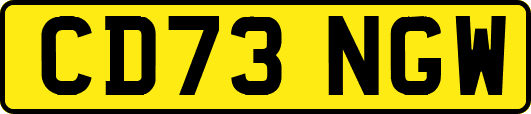 CD73NGW