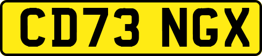 CD73NGX