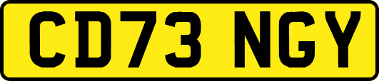 CD73NGY
