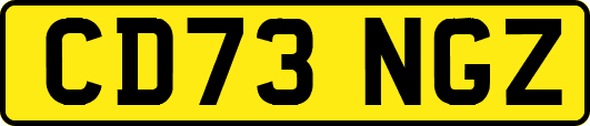 CD73NGZ