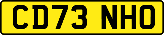 CD73NHO