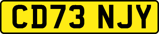CD73NJY