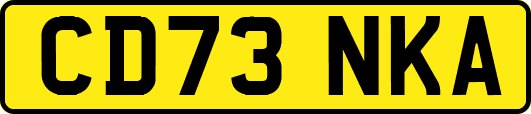 CD73NKA