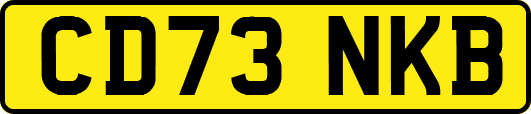 CD73NKB