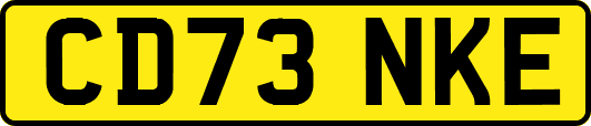 CD73NKE