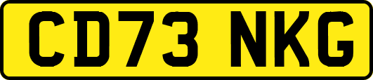 CD73NKG