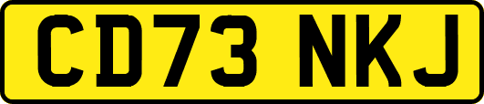 CD73NKJ