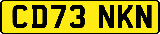 CD73NKN