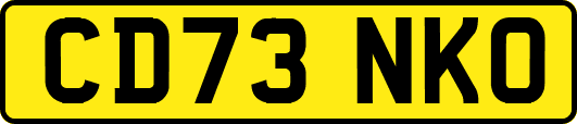 CD73NKO