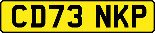 CD73NKP