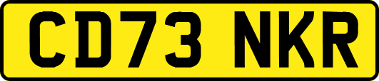 CD73NKR