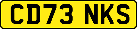 CD73NKS