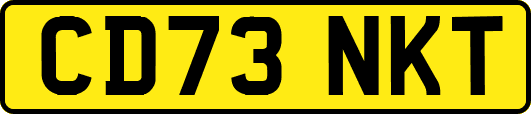 CD73NKT