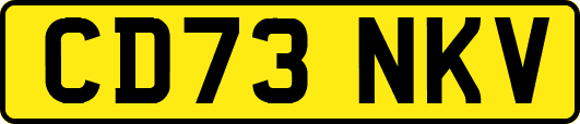 CD73NKV