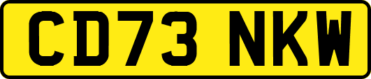 CD73NKW