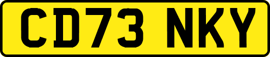 CD73NKY
