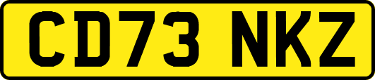 CD73NKZ