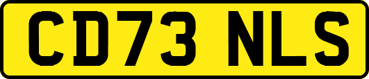 CD73NLS