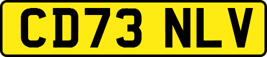 CD73NLV
