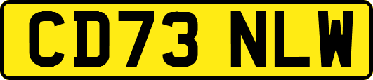 CD73NLW
