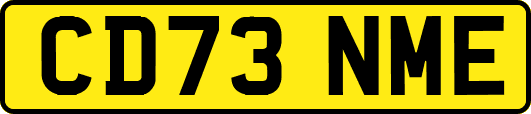 CD73NME