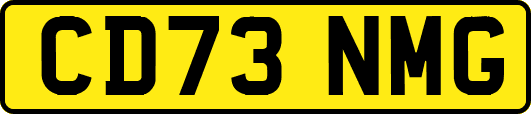 CD73NMG