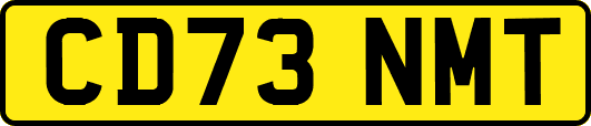 CD73NMT